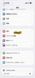 ナビゲーションorディスプレイオーディオとApple CarPlayの接続不具合について